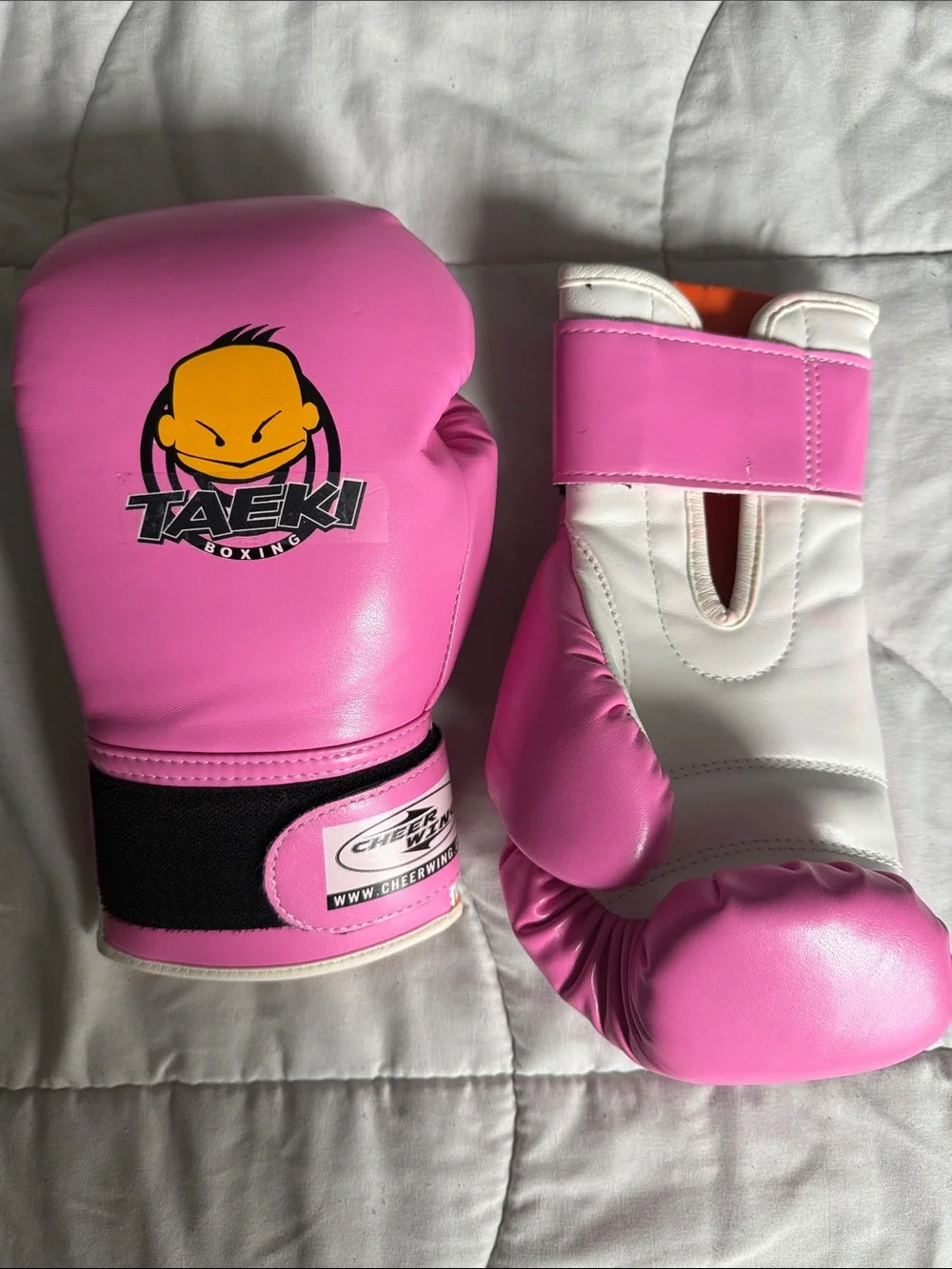 Pink Taeki Boxing Gloves